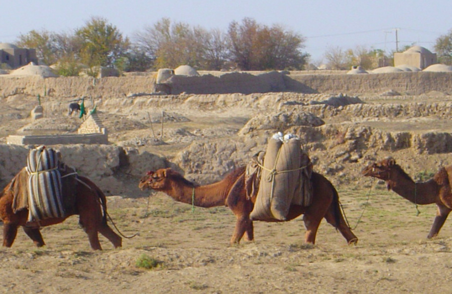 Adventures in Central Asian Textiles - or how to get down from a yak!